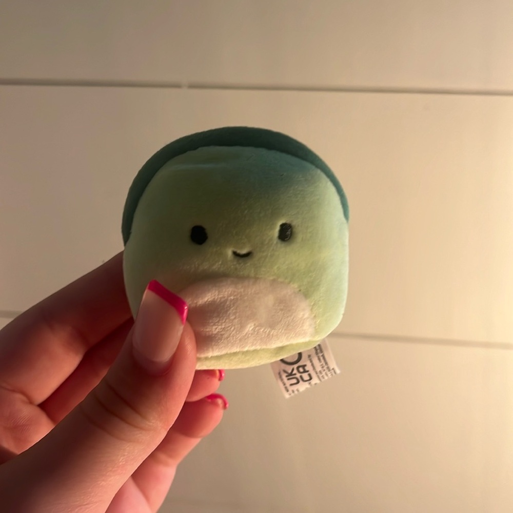 Turtle squish Ville